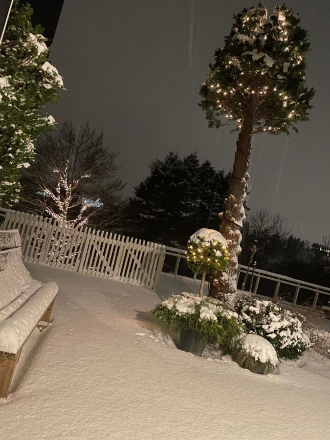 Studio Leilighet, Nyoppusset Langevag ภายนอก รูปภาพ