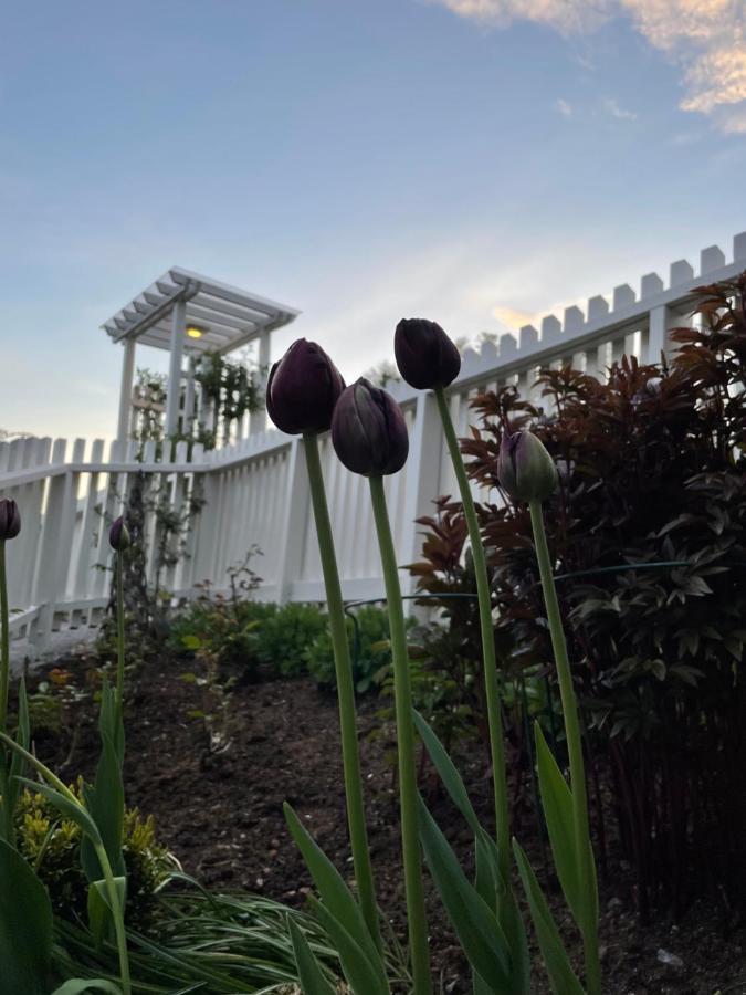 Studio Leilighet, Nyoppusset Langevag ภายนอก รูปภาพ